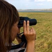 User avatar for Chiara Franzoni