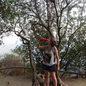 User avatar for Martina Brandi