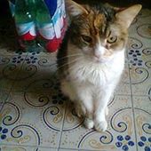 User avatar for Sonia Fabozzi