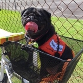 User avatar for Belinda Wishart