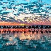 User avatar for Chieko Inoue