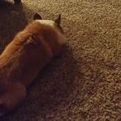 User avatar for Brian Cook