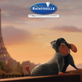 User avatar for Matteo Rossi