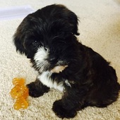 User avatar for Sarah Hart