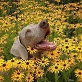 User avatar for Clair O'neill