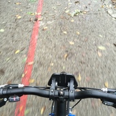 User avatar for Cheryl Reed