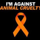 User avatar for Rob Franks