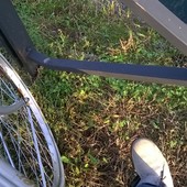 User avatar for Chiara Lami Starnuti