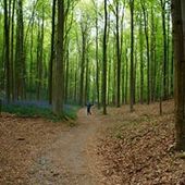 User avatar for Yasinta Widjojo