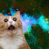 User avatar for Kevin Kim