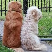 User avatar for Fran Forget