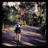 User avatar for Conor Quinlan