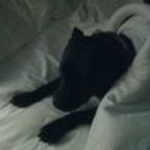 User avatar for Kristen Wilson