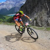 User avatar for Federico Vercesi