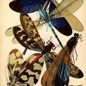 User avatar for Carolyn Polson