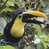 User avatar for Bronwyn Soden