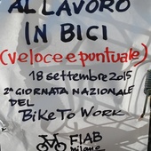 User avatar for Daniela Di Deo