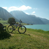 User avatar for Orsetta Mangiante