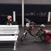 User avatar for Carolyn Ienna