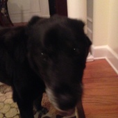 User avatar for Scott Brockmeier