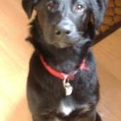 User avatar for Steve Garidis