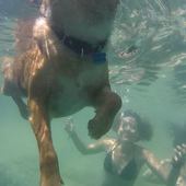 User avatar for Lauren Perez