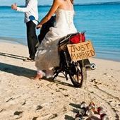 User avatar for Peter Rennie