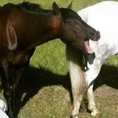 User avatar for Olivia Ross