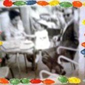 User avatar for Antonaccio Beatrice