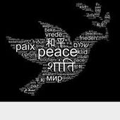 User avatar for Dana Shinn