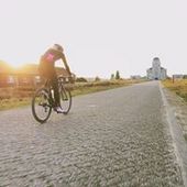 User avatar for Marina Van Dijk