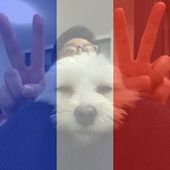 User avatar for Yuyi Kong