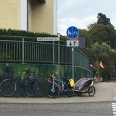 User avatar for Alison Adams