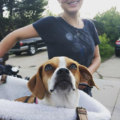 User avatar for Sarah Kuehl