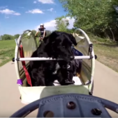 User avatar for Claudia Chang