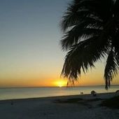 User avatar for Jamie Faichney