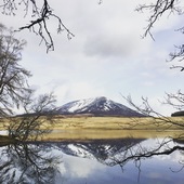 User avatar for Jenny Muir