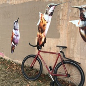 User avatar for Eric Boyle