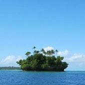 User avatar for Alice Banfield