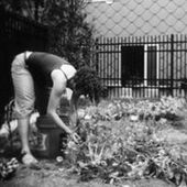 User avatar for Becca Weaver