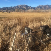 User avatar for Elliott La Bonte