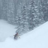 User avatar for Dave Reed