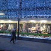 User avatar for Karen Semmens