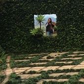 User avatar for Katie Rose