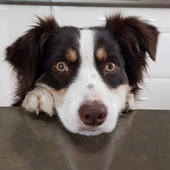 User avatar for Gordon Newell