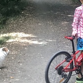 User avatar for Cj Drake