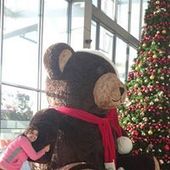 User avatar for Mohaddeseh Kahram