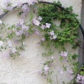 User avatar for Anne De Broglio