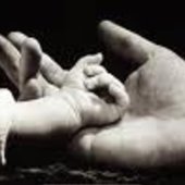 User avatar for Davide Lonati