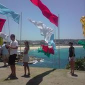 User avatar for Allison Ahn